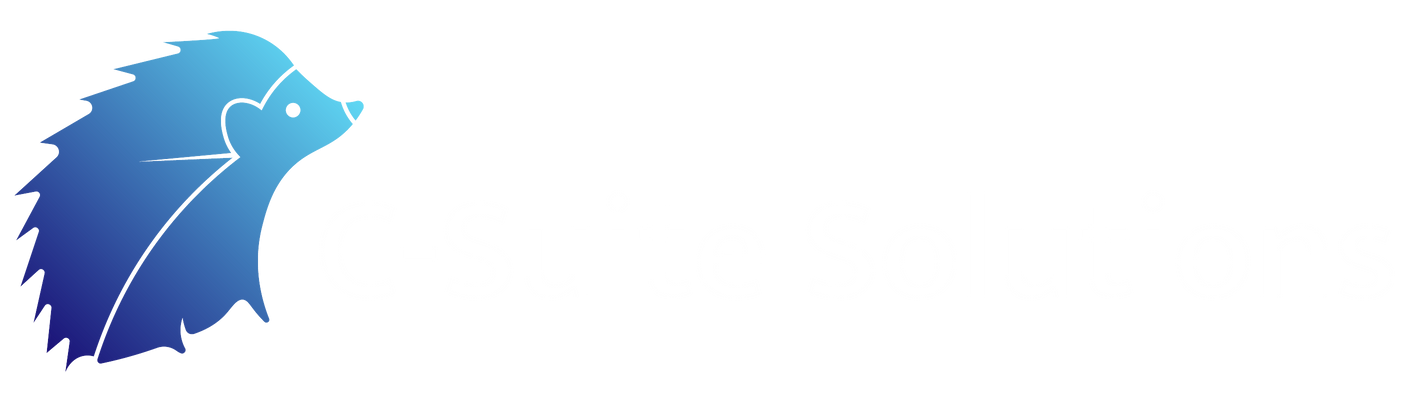 the logo for c - suite solutions